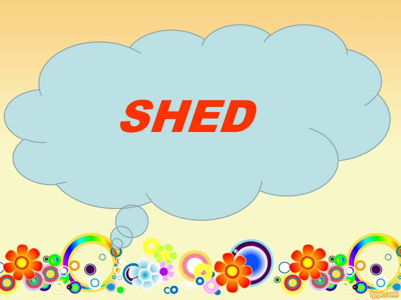 SHED